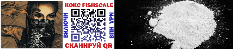 COCAIN Эквадор  где купить наркотик  Удомля 