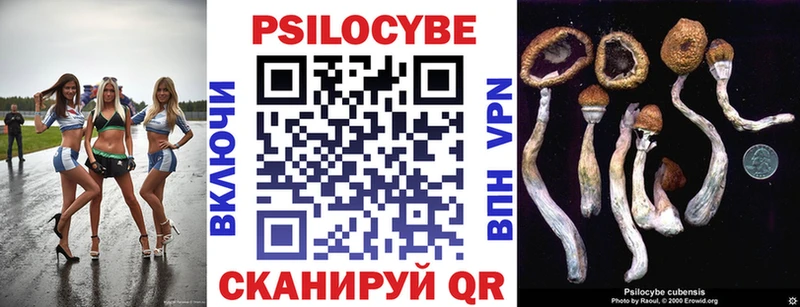 нарко площадка как зайти  Удомля  Псилоцибиновые грибы ЛСД 